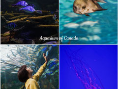 -瑞普利水族馆