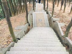 景点-阳台山森林公园