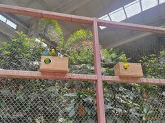 -南宫五洲植物乐园