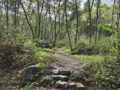 -云岫谷自然风景区