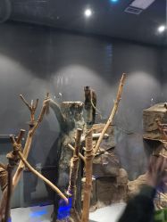 -未来动物城动物主题公园(大悦城店)