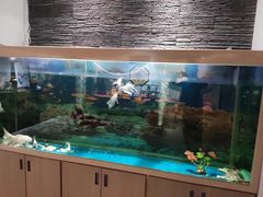 -食悦江南·淮扬菜·烤鸭(亚运村·惠新店)