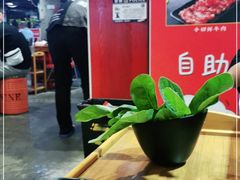 大堂-捞围鲜·港式打边炉(海阳路店)