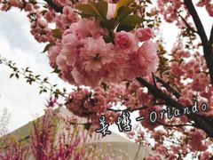 -长安大学(北校区)