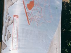 -石老人观光园