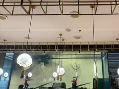 -老板恋上鱼(振华商厦店)