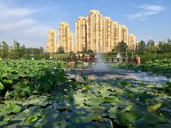 景点-前关湿地公园