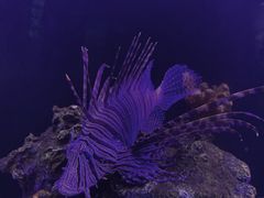 -厦门海底世界