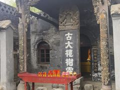 -大槐树寻根祭祖园