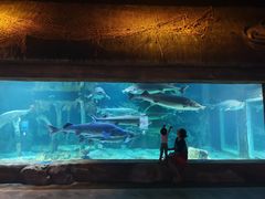 -华夏文旅海洋公园