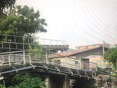 -红星光发煲仔饭(大石街店)