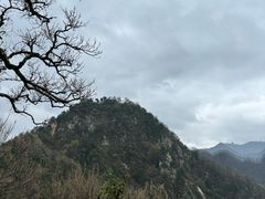 -太平万花山景区
