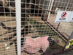 -金庭庄园酒店-停车场