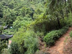 -九龙潭景区