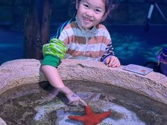 -悉尼海洋生物水族馆