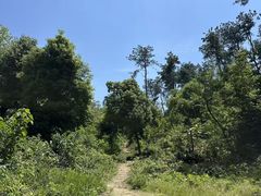 -青龙山国家森林公园