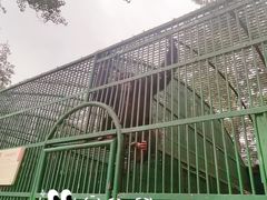 -秦皇岛野生动物园