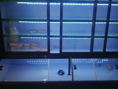 -中粮丰通（北京)食品有限公司