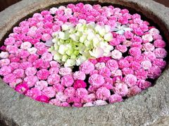 -爱啤精酿·民谣酒馆(滨江店)