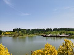 -东郊湿地公园