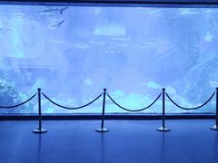 -海合安成都极地海洋公园