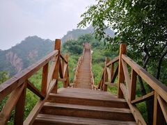 -大岭沟猕猴桃谷风景区