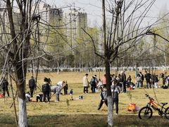 -汉长安城未央宫国家考古遗址公园