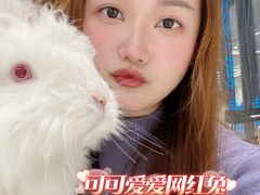 -怪兽屋·羊驼·猫咖·狗咖(俊华广场店)