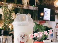 -Husky Go! 哈士奇体验馆·宠物咖啡厅狗咖