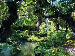 -Chom Cafe and Restaurant