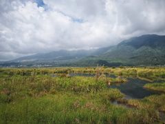 -腾冲北海湿地