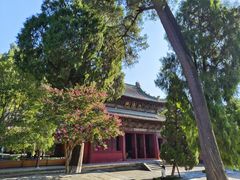 -报恩寺(平武县)