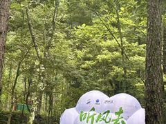 -洛阳白云山景区