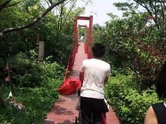 -吴淞炮台湾湿地森林公园烧烤区