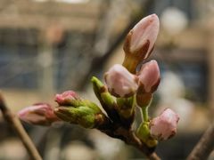 -西北湖绿化广场