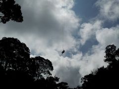 -清迈丛林飞跃 JungleFlight