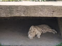 -宁波野生动物园