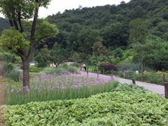 -贵阳市花溪国家城市湿地公园