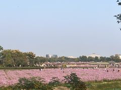 -径山花海