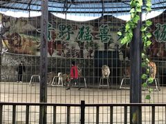 -贵州森林野生动物园