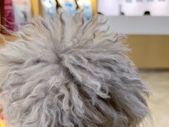 -美联众合动物医院·24h转诊中心