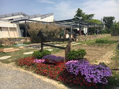 -田园东方蜜桃村的田野营地