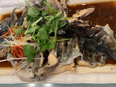 -京北渔家傲