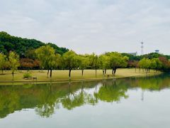 -上海方塔园