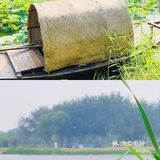 北京遛娃|好玩好拍好逛的宝藏公园