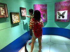 -上海昆虫博物馆