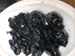 必点墨鱼水饺-必点海鲜·鲅鱼水饺(鞍山西道店)