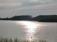 -丁香湖公园