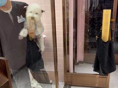 -FAELING PETS美天灵宠物(富力广场店)