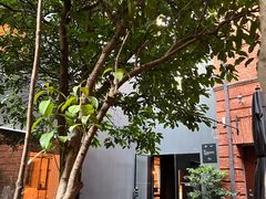 -Ocean's Table 欧舍